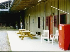 Stables/Cabins Reception & Office